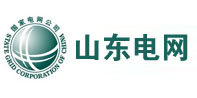 龙安山东电网